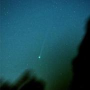 Comet. Picture: Dave Eagle
