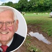 Labour councillor John Crook said he couldn't support including this field, behind Langley Close in Magor, in a consultation on potential Gypsy Traveller sites.