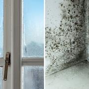Here are eight ways you can reduce condensation on your windows and prevent mould