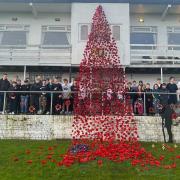 The Blackwood Town Cricket Club with the completed poppy waterfall