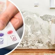 Here's what rising damp is, how much it will cost you to fix and how to prevent it in the first place.