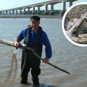 Black Rock Lave Net fisherman Martin Morgan was part of the group who discovered the 100 year old anchor