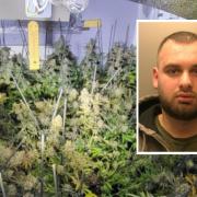 Indrit Spata, 23, was jailed for growing the 505 cannabis plants at a house on Caldicot’s Longfellow Road