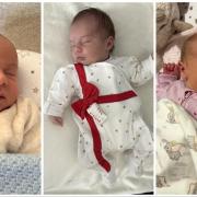 Five near arrivals to welcome to the world
