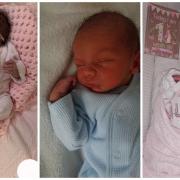 Five little darlings to welcome to the world