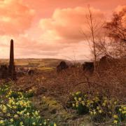 Stunning: Springtime at St Sannan's, Bedwellty. Picture: Granville Joxies