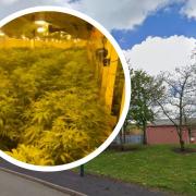 Police have uncovered a 'significant' cannabis cultivation at an industrial estate in Rhymney