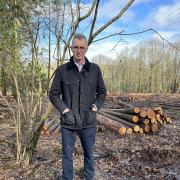 David Davies MP has criticised the Welsh Government's sustainable farming scheme stating it is hypocritical when they cut down trees from their owned forests