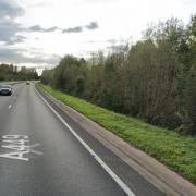 Police officers secure running loose dog on A449 Raglan