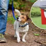 Dogs could be banned from some parks in one area of Gwent and their owners required to carry a bag for their poo.