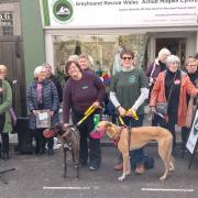 The event was aiming to raise awareness and funds for Greyhound Rescue Wales