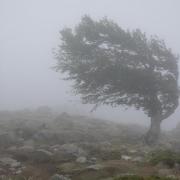 Met Office issues yellow weather warning for Wales