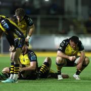 DENIED: The Dragons are dejected after being edged out by Connacht