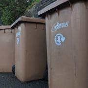 General picture of Caerphilly Council bins. Credit: LDRS