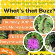 An event to get the public to notice nature is taking place next week