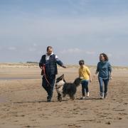 Visit Wales has launched an ad campaign aimed at dogs to show the nation as a dog-friendly destination