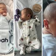 Noah, Oscar and Kingston are the new arrivals celebrated this week