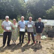 Lewis Street allotments awards in Blackwood