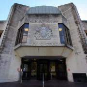 A woman was sentenced at Swansea Crown Court after her dog attacked a delivery driver.