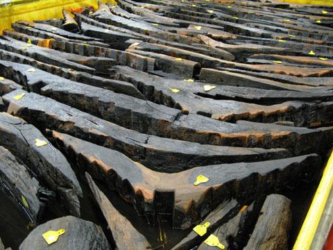 PRESERVATION: Timbers from the Newport ship are kept moist at the site in Maesglas before thay can be safely freeze-dried