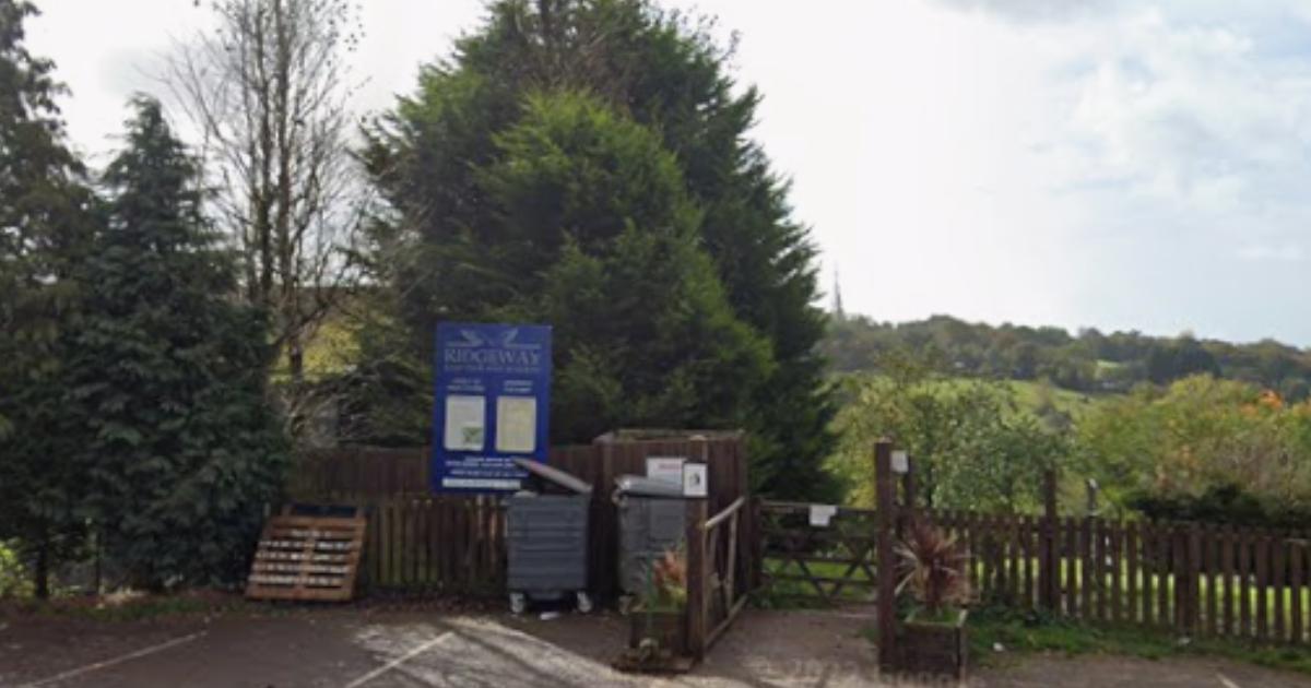 Bride caught up in violence as wedding reception descends into chaos