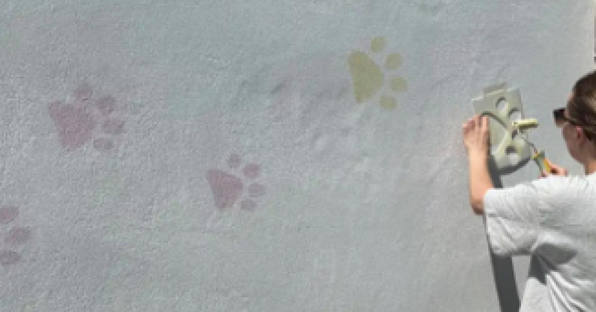 New look unveiled at dogs home after kennel makeover