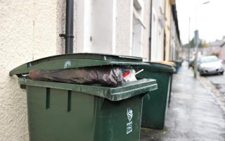 Rubbish bins out for collection in Newport.
