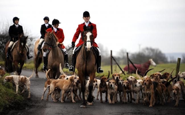 ‘80 per cent' want to keep fox hunt ban in Wales