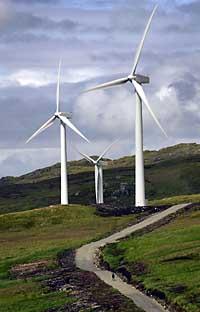 WIND POWER: Turbines like these will soon be a feature of the Newport sklyline