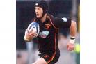 Chest injury: Newport Gwent Dragons centre Hal Luscombe
