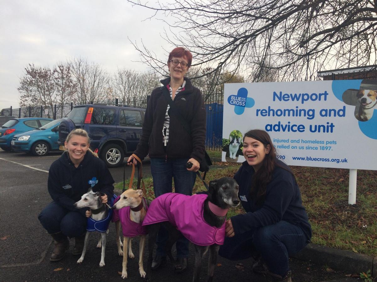 First dog rehomed from Newport rescue centre | South Wales Argus